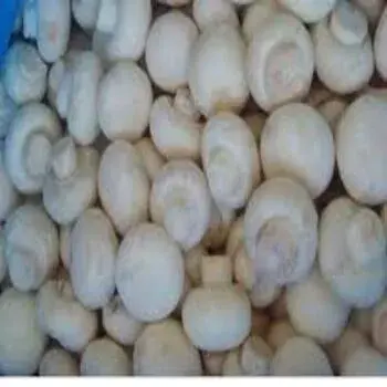 High Nutritional British Fresh Farm Button Mushroom, Packaging Type: Box, Packaging Size: 200gm fm6-2547286-77002.webp