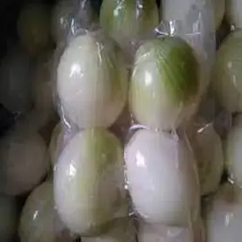 Frozen Onion : plastic pakaging fo4-7471587-29473.webp