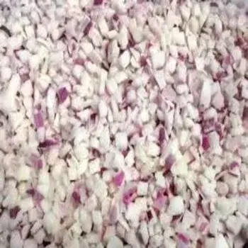 Fresh Red Frozen Onion fo7-6352774-21563.webp