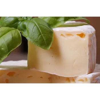 fresh-cheese-01-9099205-34521.webp