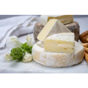 fresh-cheese-02-7689308-72651.webp