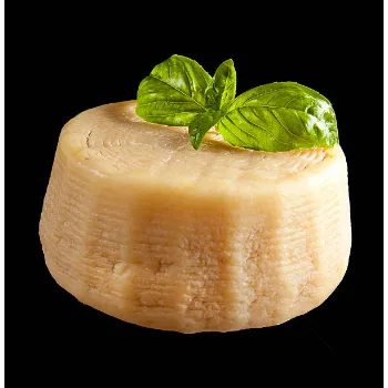 fresh-cheese-04-6910932-12214.webp