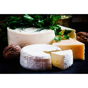 fresh-cheese-06-4619447-77945.webp