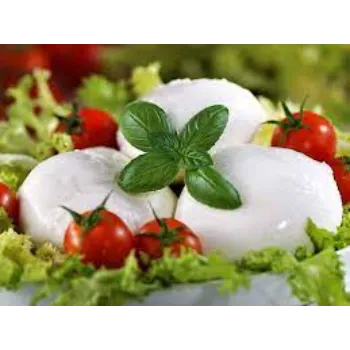 fresh-cheese-07-4156217-57196.webp