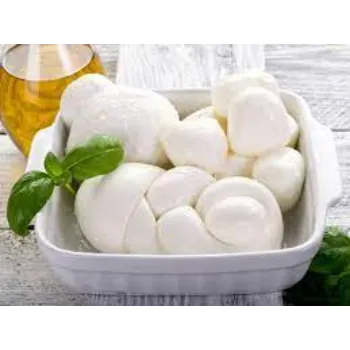 fresh-cheese-19-4608729-48354.webp