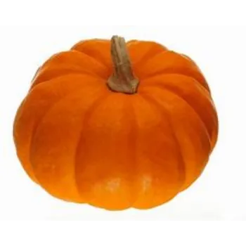 fresh-pumpkin-02-6343258-48749.webp