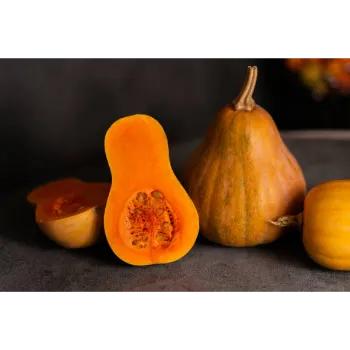 fresh-pumpkin-02-7989154-38458.webp