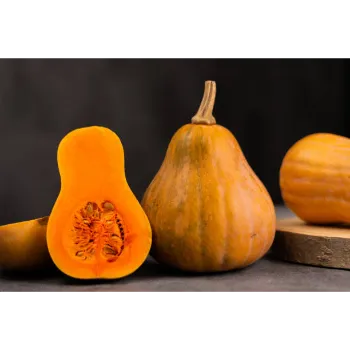 fresh-pumpkin-03-1719448-76687.webp