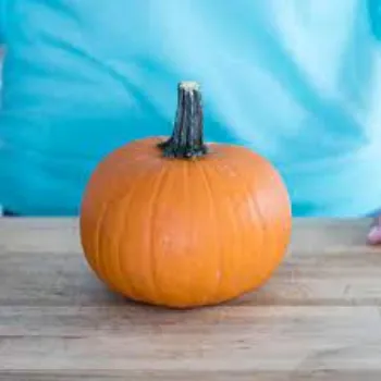 fresh-pumpkin-03-9442646-54227.webp