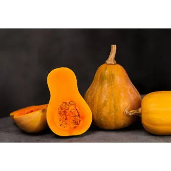 fresh-pumpkin-05-2722529-88771.webp