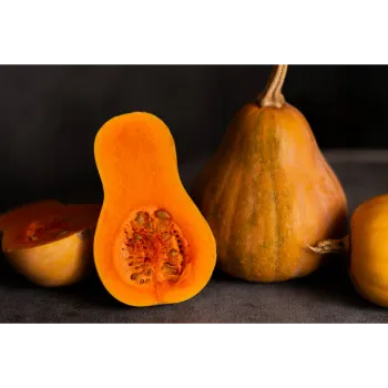 fresh-pumpkin-07-9313622-30006.webp