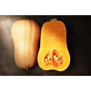 fresh-pumpkin-13-2502141-62430.webp