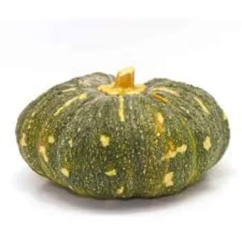 fresh-pumpkin5-8803036-26719.webp