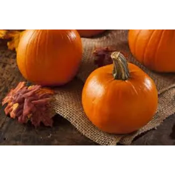 fresh-pumpkin9-8918103-53142.webp