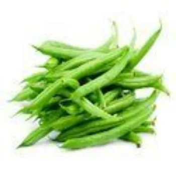 Frozen Beans frozen-beans-01-6898681-44297.webp