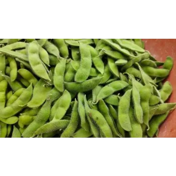 Frozen Beans frozen-beans-03-1489588-60069.webp