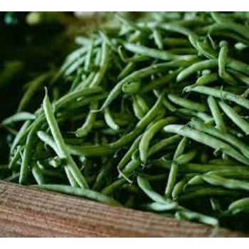 Common Frozen Beans frozen-beans08-3969471-61323.webp