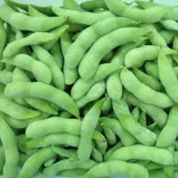 Natural Frozen Beans frozen-beans10-4895858-57962.webp