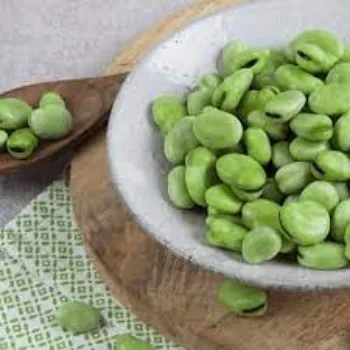 Common Frozen Beans frozen-beans10-8333977-81268.webp
