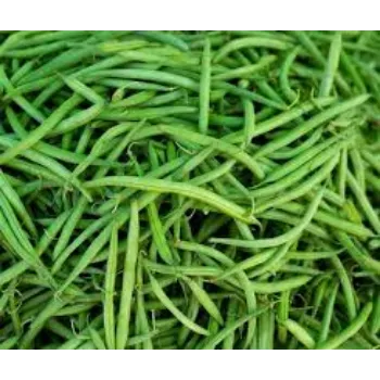 Natural Frozen Beans frozen-beans12-5758005-87414.webp