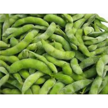 Natural Frozen Beans frozen-beans14-7368640-90055.webp