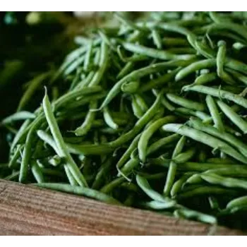 Common Frozen Beans frozen-beans15-3923005-7467.webp