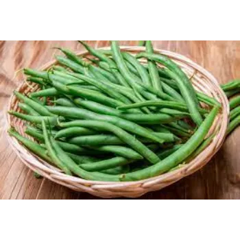 Organic Frozen Beans frozen-beans17-3138148-6543.webp