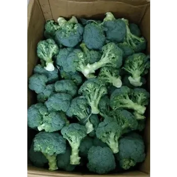 Frozen Broccoli frozen-broccoli-03-6513376-80818.webp