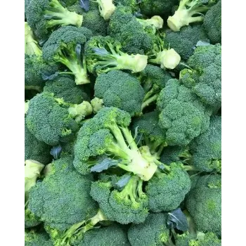 Frozen Broccoli frozen-broccoli-04-2917323-24349.webp