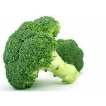 Common Frozen Broccoli frozen-broccoli-07-6201935-5141.webp