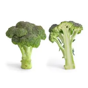 Organic Frozen Broccoli frozen-broccoli10-7345776-86666.webp