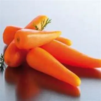 Frozen Carrot frozen-carrot-02-6051396-21152.webp