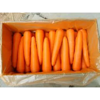 Frozen Carrot frozen-carrot-05-3168895-88012.webp