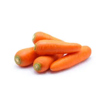 Frozen Carrot frozen-carrot-06-8880931-70969.webp