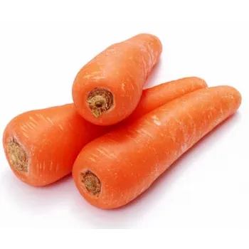 Frozen Carrot frozen-carrot-10-626577-57547.webp
