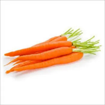 Frozen Carrot frozen-carrot10-5692173-72259.webp