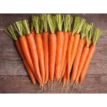Natural Frozen Carrot frozen-carrot15-961941-34268.webp