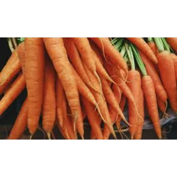 Natural Frozen Carrot frozen-carrot16-2583275-25444.webp