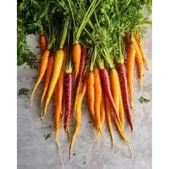 Natural Frozen Carrot frozen-carrot18-2468548-66497.webp