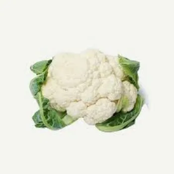 Frozen Cauliflower frozen-cauliflower-03-8450895-63098.webp