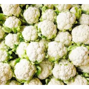 Frozen Cauliflower frozen-cauliflower-04-4961323-80270.webp
