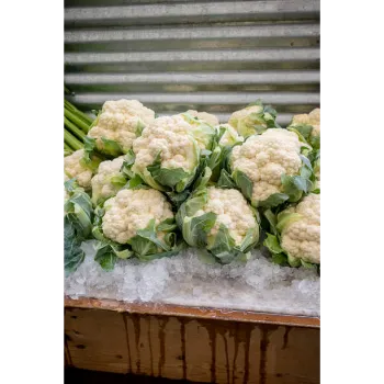 Frozen Cauliflower frozen-cauliflower-09-8823130-41936.webp