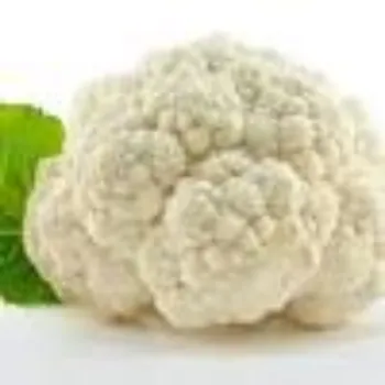 Common Frozen Cauliflower frozen-cauliflower01-6336242-47301.webp