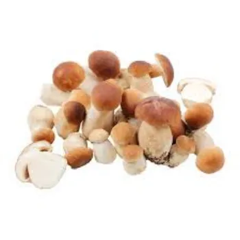Frozen Mushroom frozen-mushroom-01-408252-10673.webp