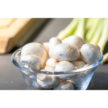 Frozen Mushroom frozen-mushroom-01-7875256-59919.webp