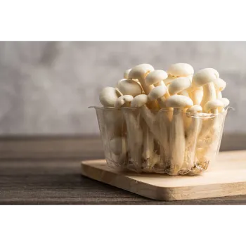 Frozen Mushroom frozen-mushroom-02-3735017-92297.webp