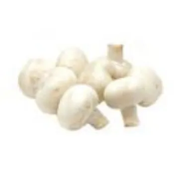 Frozen Mushroom frozen-mushroom-02-5341329-20797.webp