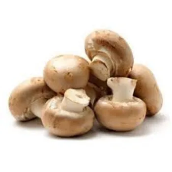 Frozen Mushroom frozen-mushroom-02-9975112-23764.webp