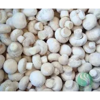 Frozen Mushroom frozen-mushroom-03-1944738-47151.webp