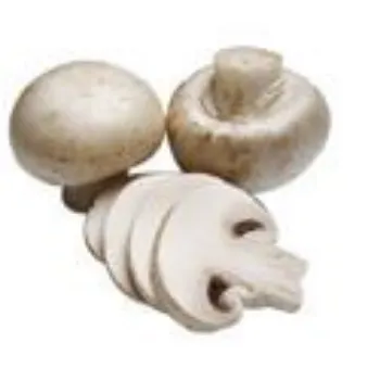 Frozen Mushroom frozen-mushroom-03-8905683-58064.webp